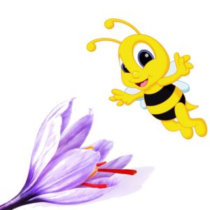 <h1>قصه زعفران از نگاه زنبور عسل<h1/>